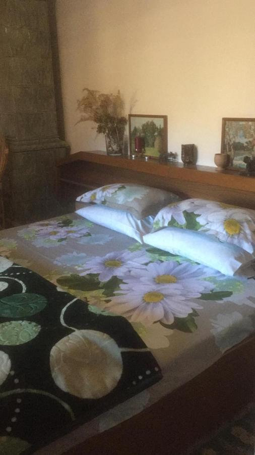 Vila Licurici Căciulata Dış mekan fotoğraf